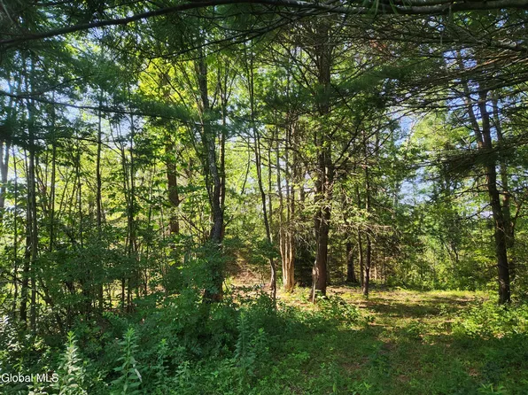 L4 Skyline Drive, Delanson, NY 12053