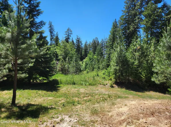 Nna Garfield Ave, Harrison, ID 83833