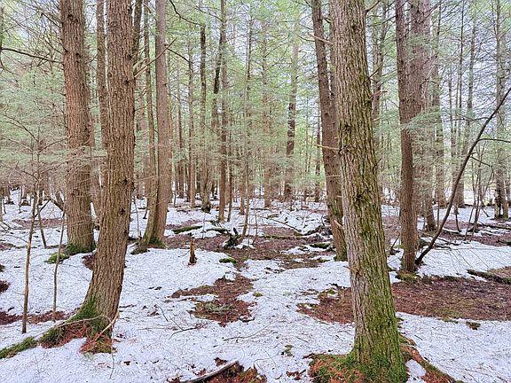 3rd image of Oil Creek Rd