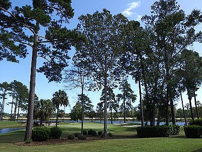 1st image of 703 Riverwalk Dr Unit 102