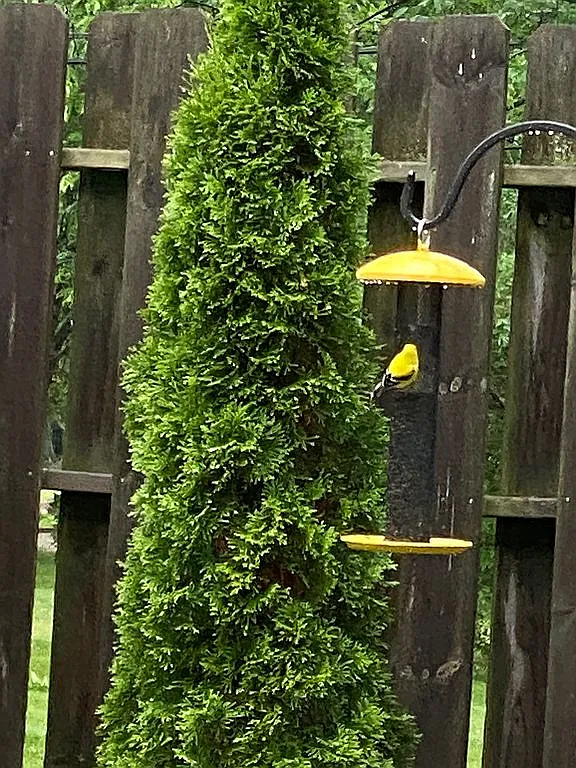 2614 S Green Rd photo 1