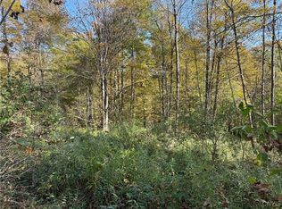 Cold Brook Rd #11, Homer, NY 13077