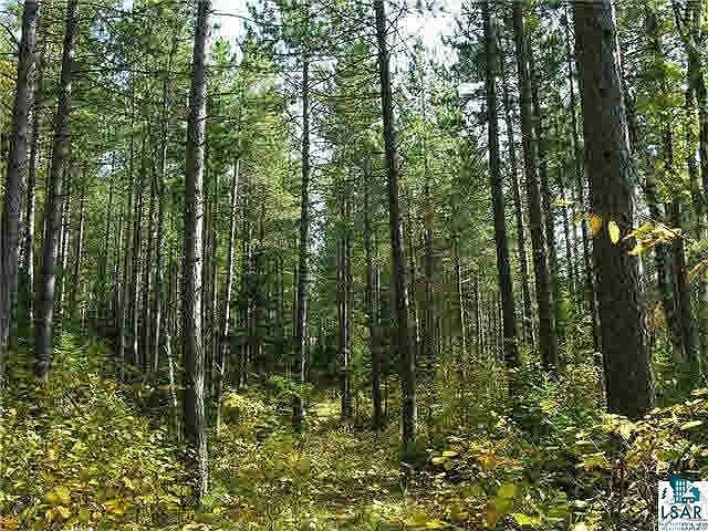 1st image of Mile O'pine Rd