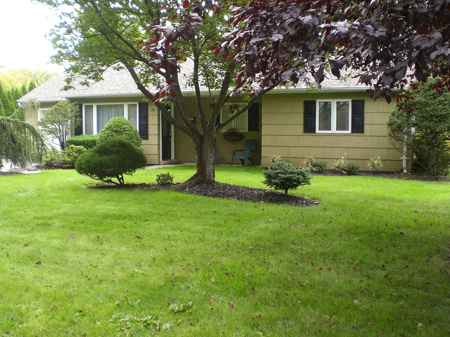 14 Pitcairn Rd photo 1