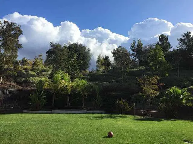 5 bed, 5.5 bath, 4861 sqft, $9,900 — Photo 2