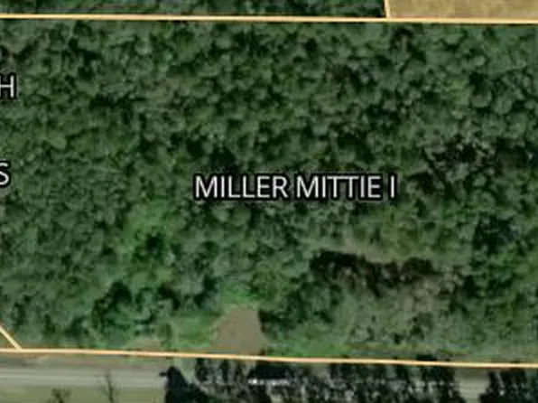 LOT One State Hwy #27, Newville, AL 36353