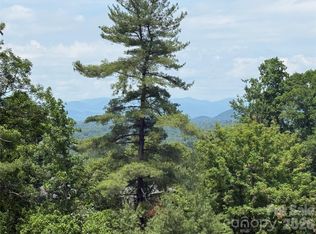 44 Leisure Mountain Rd, Asheville, NC 28804