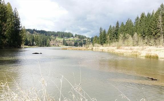 5th image of 20498 S Driftwood Dr