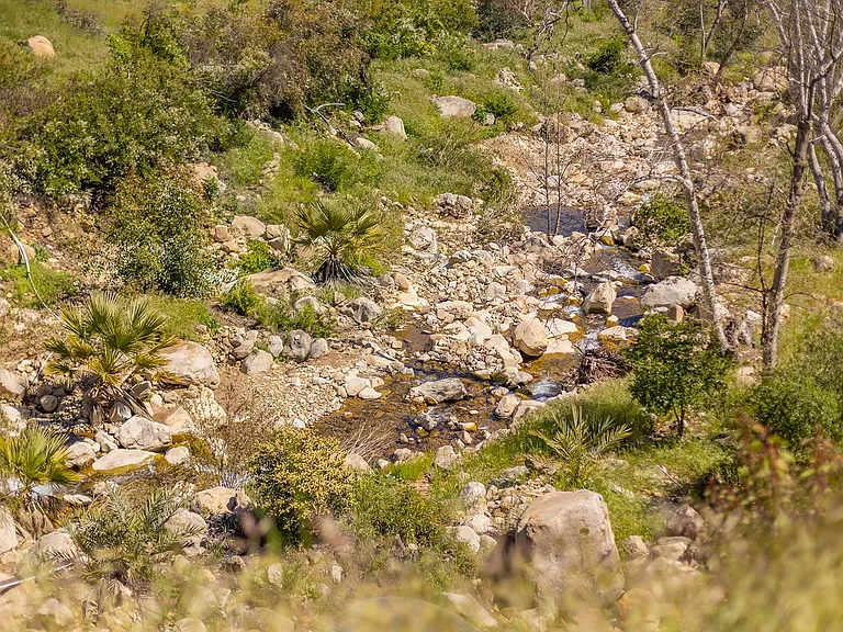 100000 Foothill Rd — Photo 19