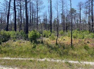 799 Jasmine Rd Lot 73, Boiling Spring Lakes, NC 28461