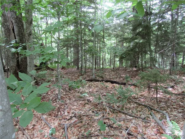 Palisades Rd W Lot 9, Old Forge, NY 13420