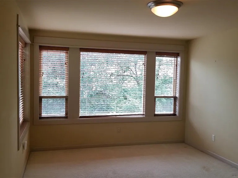 362 Aloha St — Photo 12