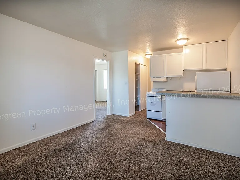 500 W Laporte Ave — Photo 48
