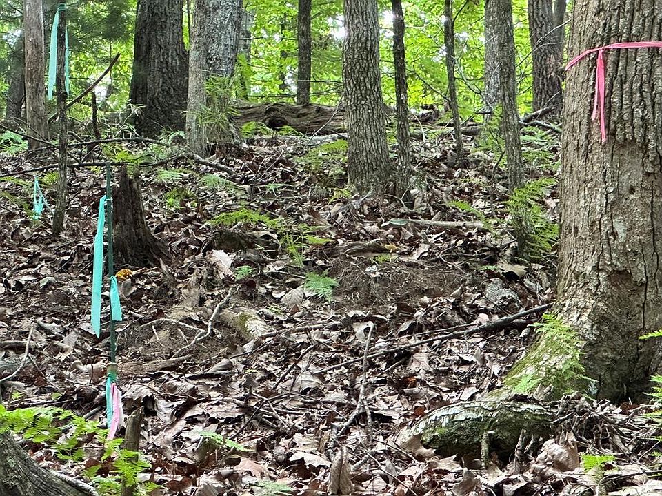 1st image of 12 Pickelsimer Mountain Ln