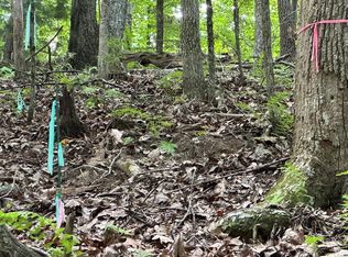 12 Pickelsimer Mountain Ln, Morganton, GA 30560