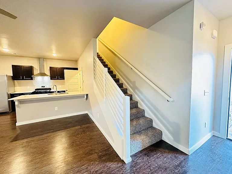 2116 Camino Del Plaza Ln — Photo 5