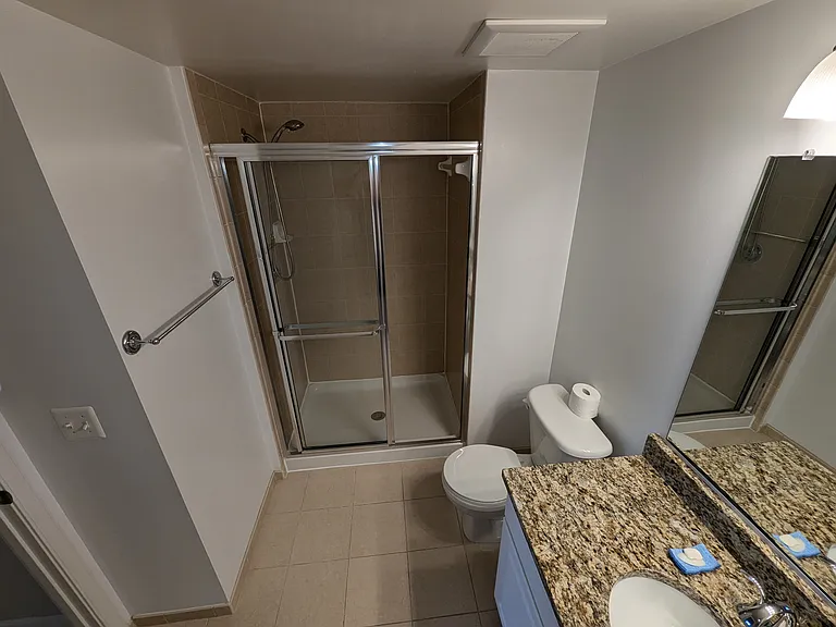 Master Bathroom Walk-in Shower