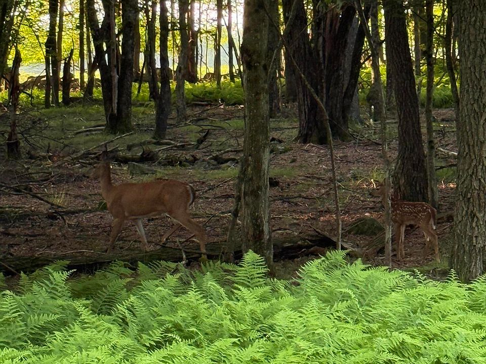 1st image of Chesapeake Trl