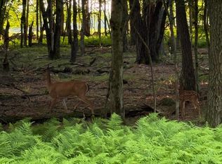Chesapeake Trl, Albrightsville, PA 18210