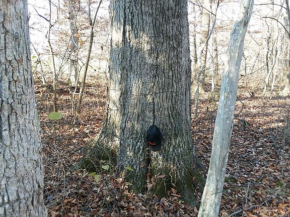 2nd image of 0 S County Road 850 E