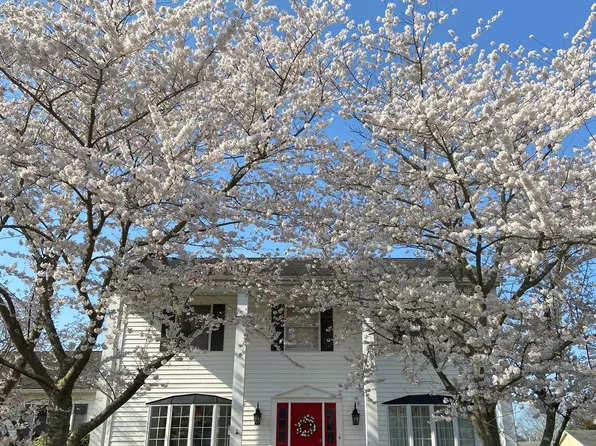 16 Redwish Ave, Marmora, NJ 08223