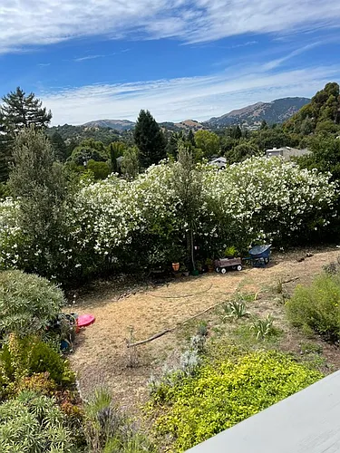 101 Granlee Rd Photo 1
