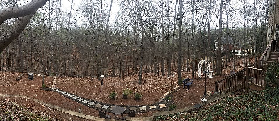 Peaceful backyard in winter