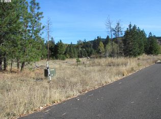 2 Pahtoe View Ln, Trout Lake, WA 98650