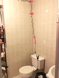 Rented by Urban Pads