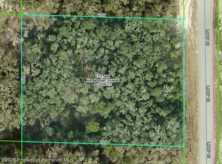 0 Loop Ct, Webster, FL 33597