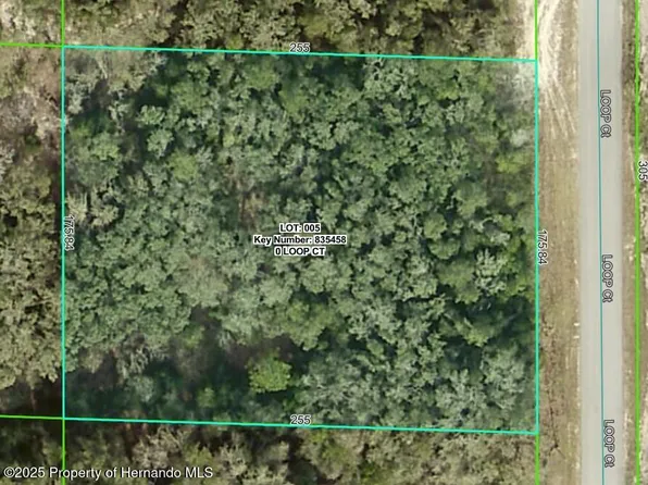 0 Loop Ct, Webster, FL 33597