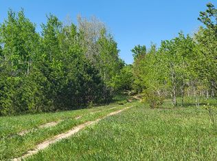 40 ACRES Mancelona Rd, Gaylord, MI 49735