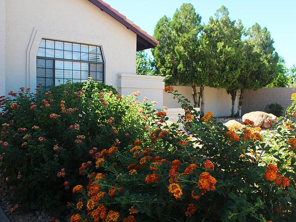 Front Landscaping