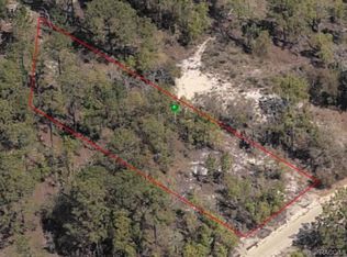 314 S Crestview Ave, Inverness, FL 34452