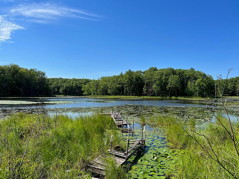11593 N Midget Lake Dr, Irons, MI 49644 Zillow