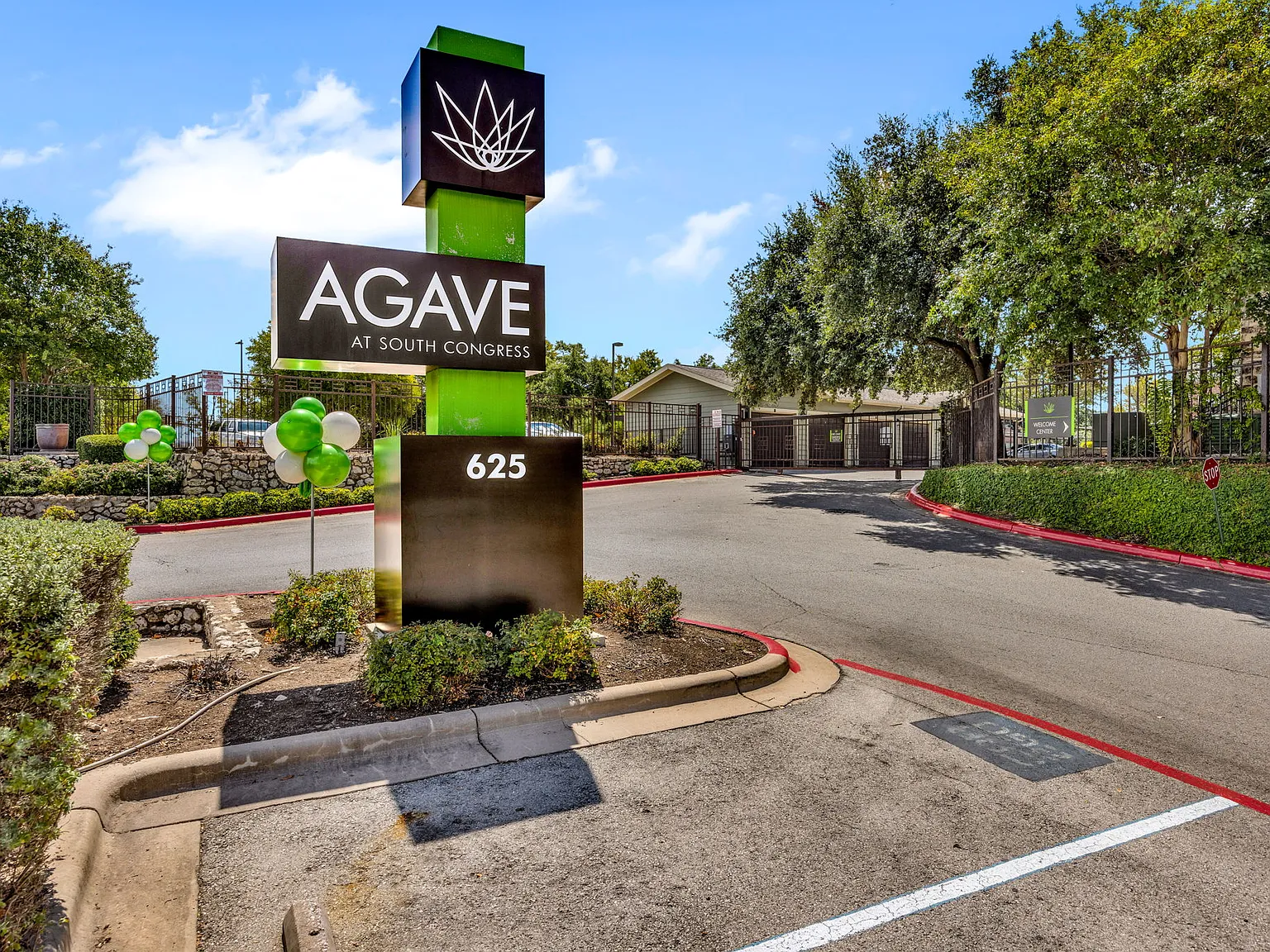 Agave at South Congress — Photo 4