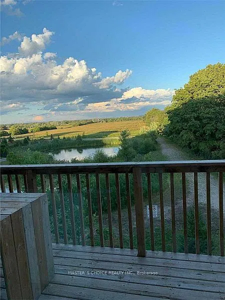 3 bed, $3,200 — Photo 4