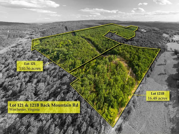 0 Back Mountain Road, Winchester, VA 22602