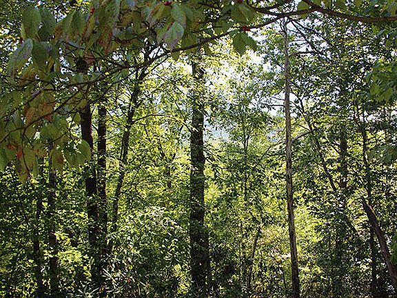 4th image of Townsend Dr