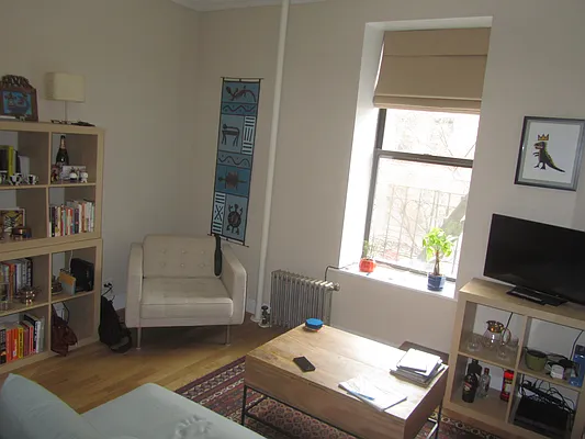 Rented by Beekman Street Realty | media 19