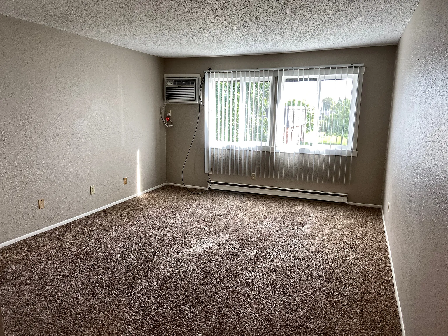 315 Fern St — Photo 4