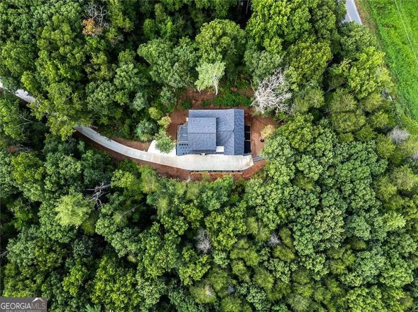 336 Frances Dr, Ellijay, GA 30536