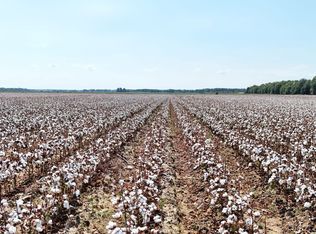 254 Fletcher Ellis Rd, Griffithville, AR 72060