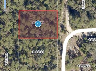 Sterling Rd LOT 2, Paisley, FL 32767