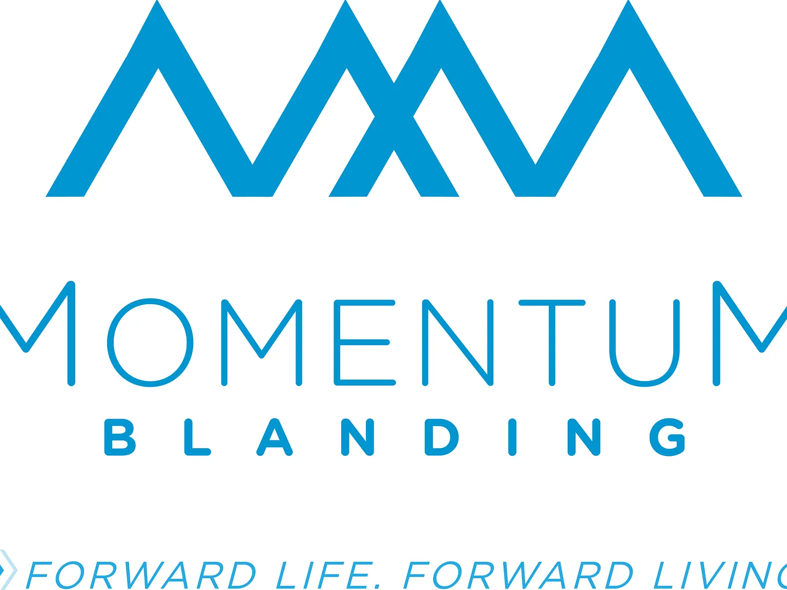 Momentum Blanding — Photo 1