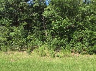 8492 N Janeaux Dr, Citrus Springs, FL 34434