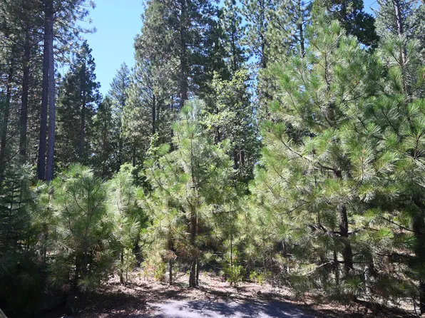 19 Chad Ct, Burney, CA 96013