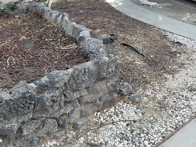 Haynes St — Photo 3