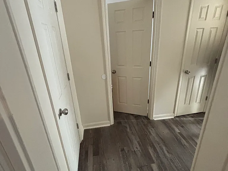Hallway to bathroom and master bedroom, featuring lots of closets.