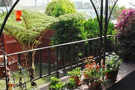 Private Deck-Fenced in Back Yard